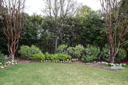 Enlarge photo 177