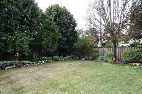 Enlarge photo 187