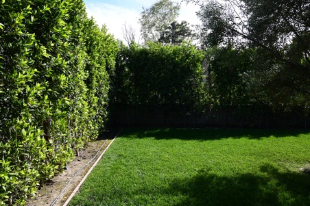 Enlarge photo 14