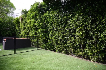 Enlarge photo 139