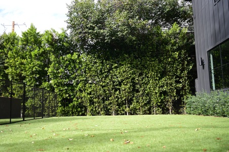 Enlarge photo 145