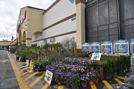 Enlarge photo 22