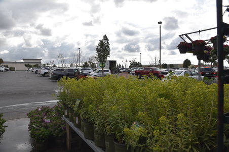 Enlarge photo 30