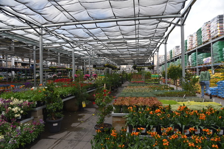 Enlarge photo 42