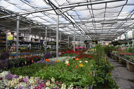 Enlarge photo 43