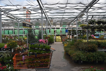 Enlarge photo 51