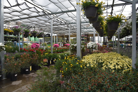 Enlarge photo 52