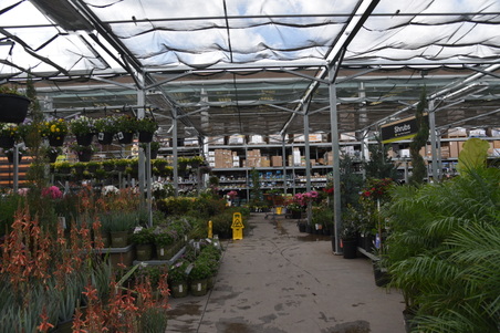 Enlarge photo 56