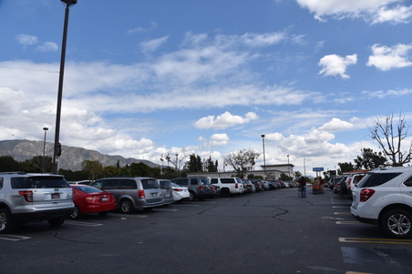 Enlarge photo 248