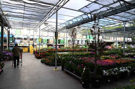Enlarge photo 32