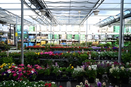 Enlarge photo 35