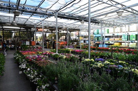 Enlarge photo 36