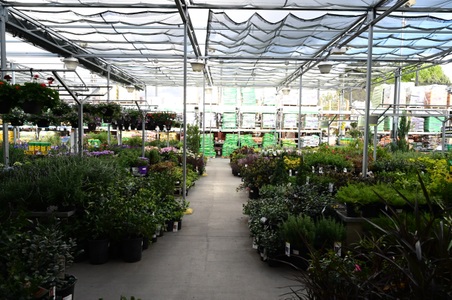 Enlarge photo 38