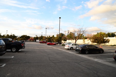 Enlarge photo 247