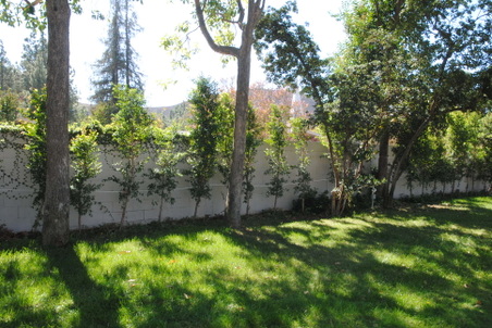 Enlarge photo 100