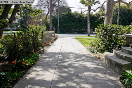 Enlarge photo 62