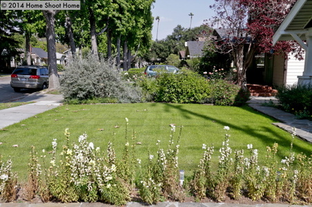Enlarge photo 47