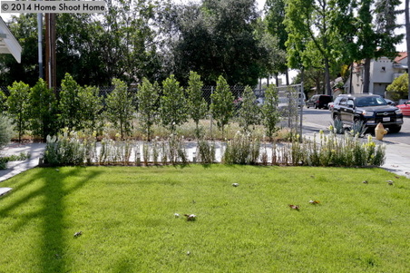Enlarge photo 48