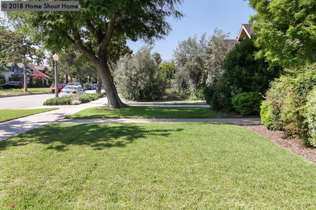 Enlarge photo 63