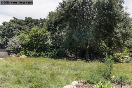 Enlarge photo 64
