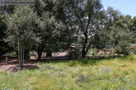 Enlarge photo 65