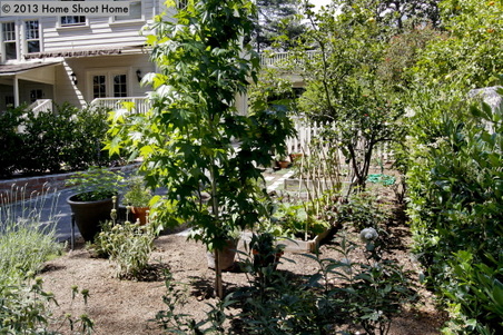 Enlarge photo 38