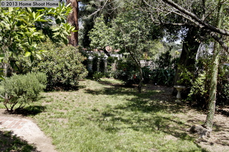 Enlarge photo 47