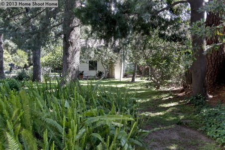 Enlarge photo 49