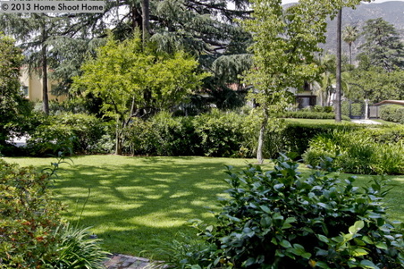Enlarge photo 54