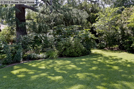 Enlarge photo 53