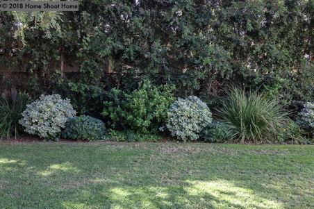 Enlarge photo 52