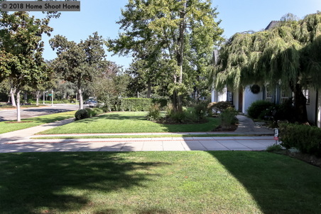 Enlarge photo 58