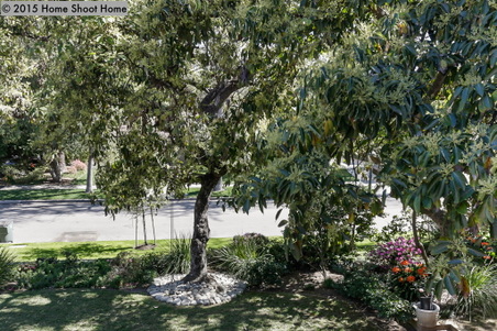 Enlarge photo 45