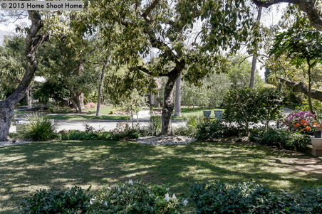 Enlarge photo 66