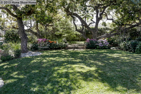 Enlarge photo 67