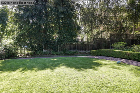 Enlarge photo 62