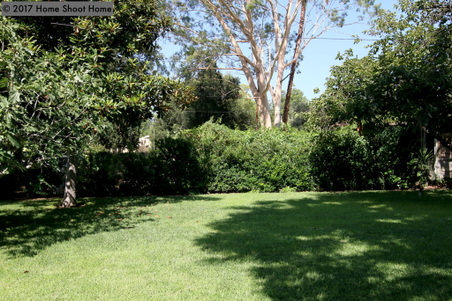 Enlarge photo 53