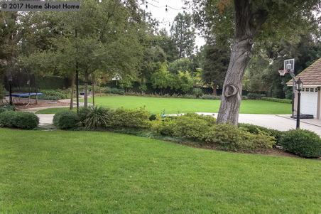 Enlarge photo 58