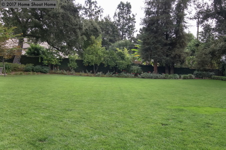 Enlarge photo 62