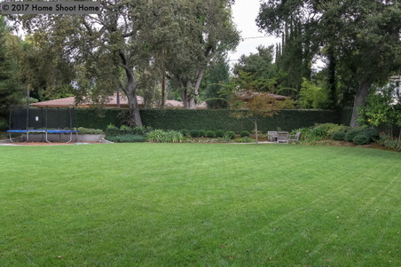Enlarge photo 65