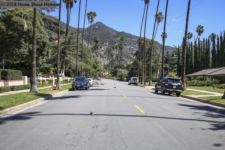 Enlarge photo 69