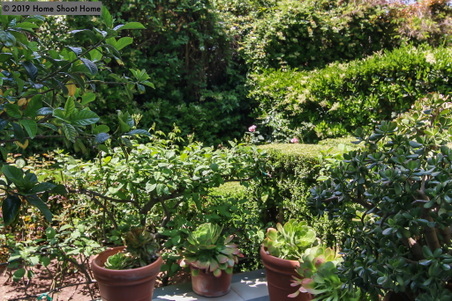 Enlarge photo 53