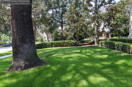 Enlarge photo 62