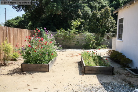 Enlarge photo 53