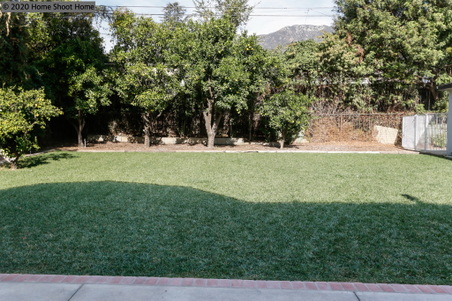 Enlarge photo 71
