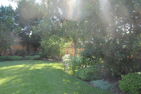 Enlarge photo 150
