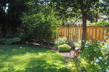 Enlarge photo 151