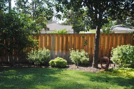 Enlarge photo 152