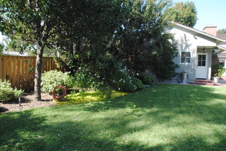 Enlarge photo 153
