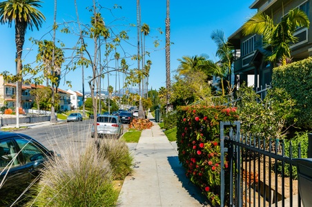 Enlarge photo 5